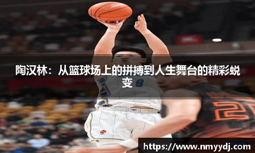 陶汉林：从篮球场上的拼搏到人生舞台的精彩蜕变